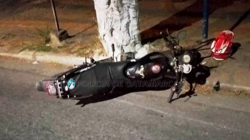 Perdió el control y chocó contra un árbol