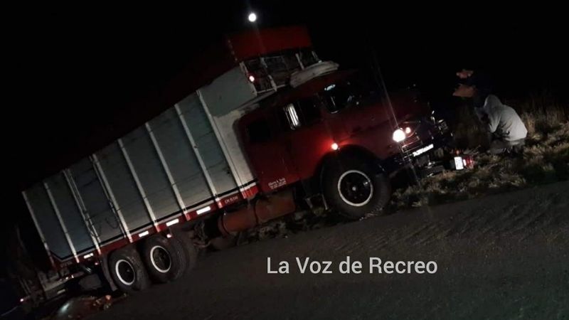 No pudo esquivar un animal y lo salvaron de ser arrollado por un camión