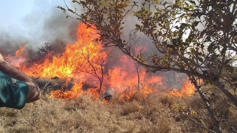 Apagaron un incendio de cañaverales en Fray Mamerto Esquiú