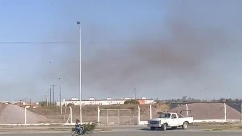 La manga de langostas más grande del país pasó por Santiago