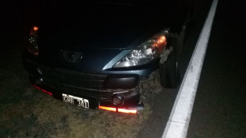 Fuerte choque contra un animal en la ruta 38