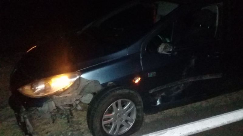 Fuerte choque contra un animal en la ruta 38