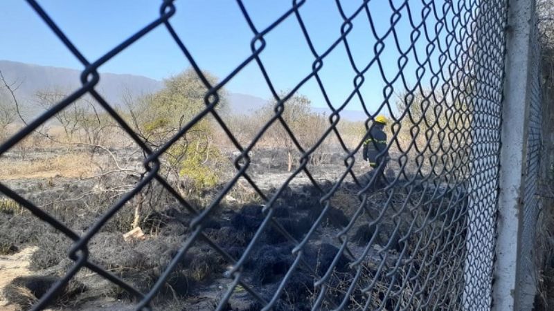 Incendio de pastizales en predio de Radio Nacional