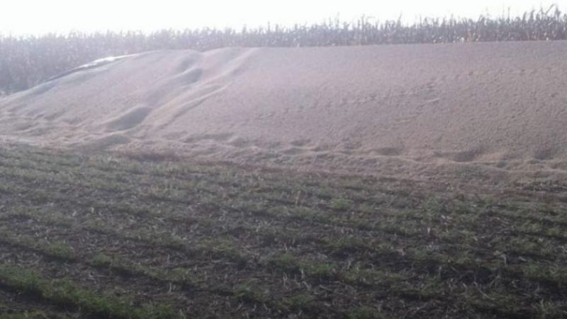 Robaron 90 toneladas de soja de un campo en el sur de Córdoba