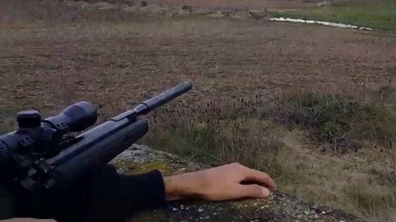 Mató a tres animales con una carabina