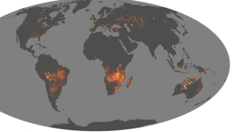La NASA muestra cómo se ve desde el espacio el arrasador incendio de la Amazonía