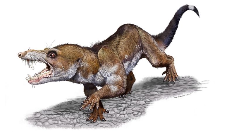 Descubren una especie idéntica a la “ardilla” de la Era de Hielo