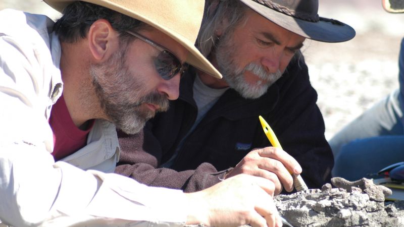 Descubren una especie idéntica a la “ardilla” de la Era de Hielo