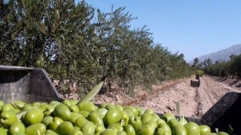 Ronda internacional de negocio