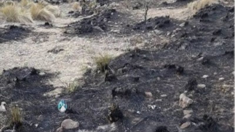Sofocan incendio de pastizales en Ancasti
