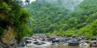 Selva de las Yungas en Las Higuerillas 