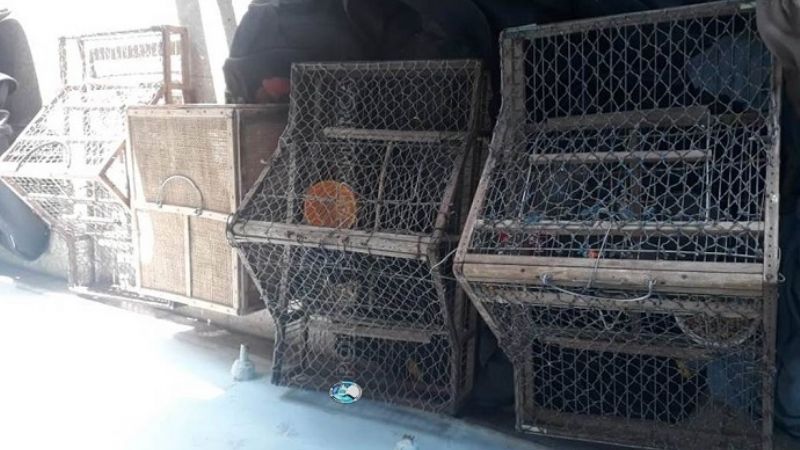 Secuestran aves en Capayán