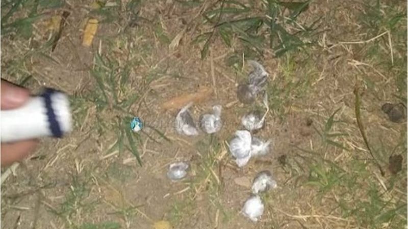 Tras una persecución arrestan a un joven y secuestran droga en Valle Viejo