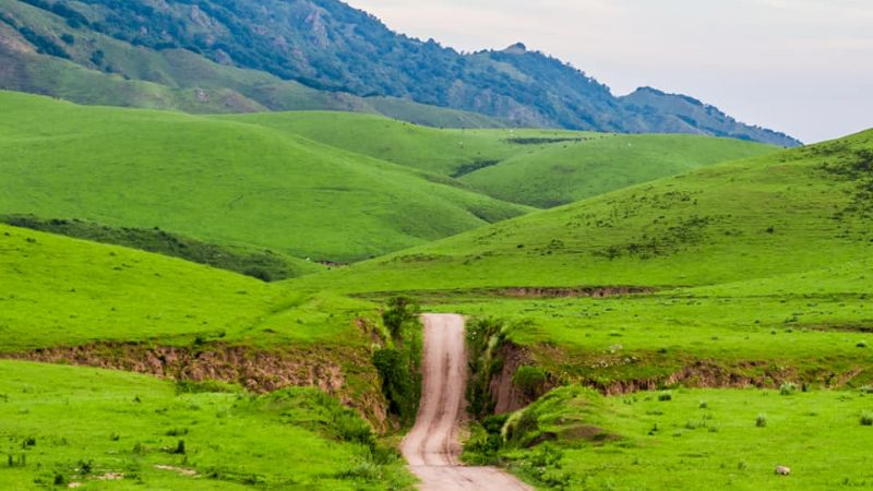 198 años de belleza pura