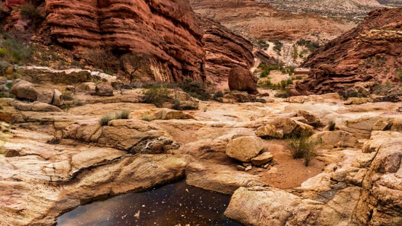 198 años de belleza pura