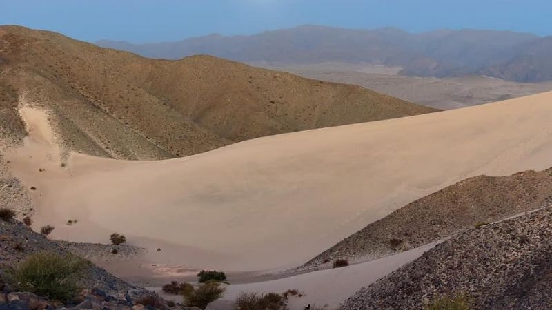 198 años de belleza pura