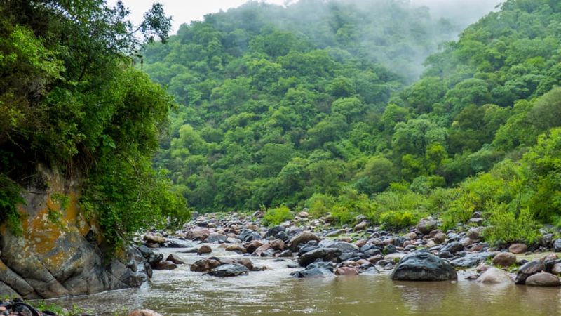 198 años de belleza pura