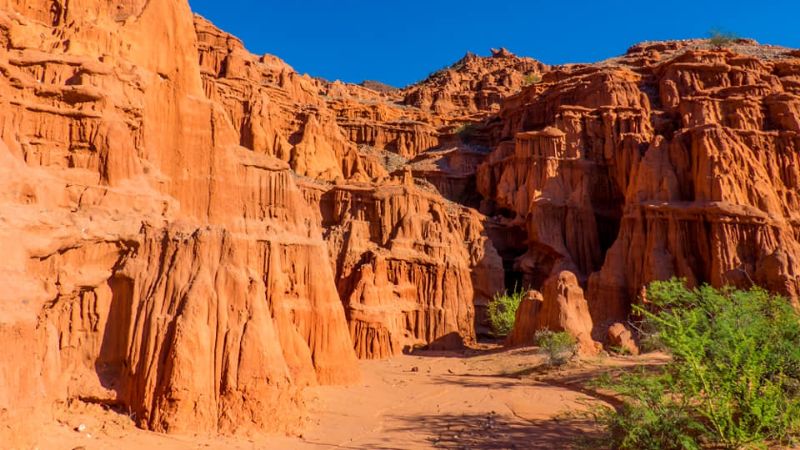 198 años de belleza pura