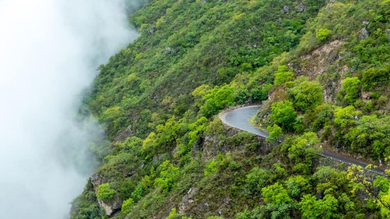 198 años de belleza pura