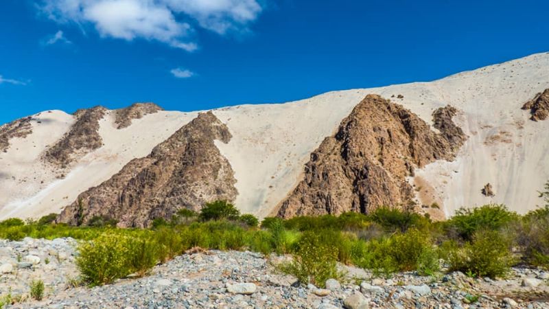 198 años de belleza pura