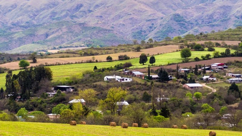 198 años de belleza pura