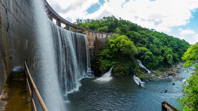 198 años de belleza pura