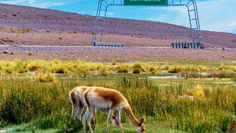 198 años de belleza pura