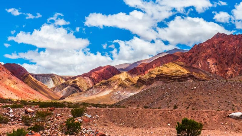 198 años de belleza pura