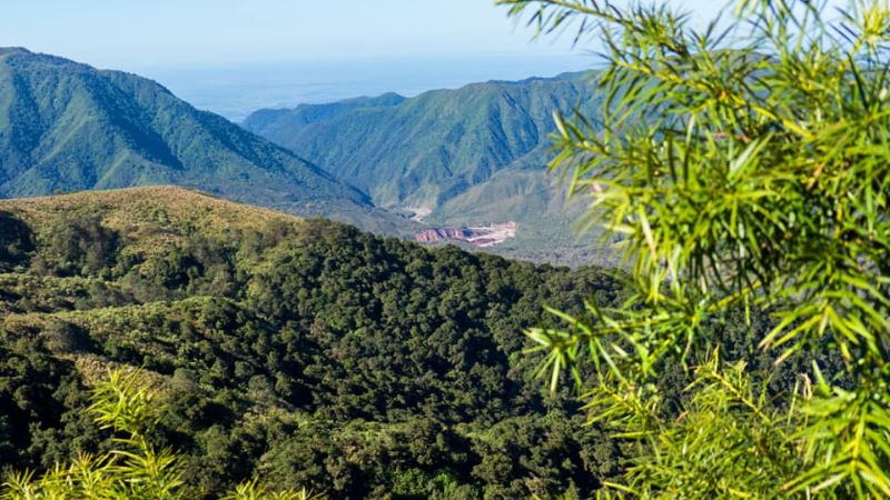 198 años de belleza pura