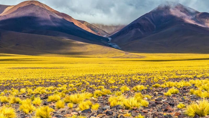 198 años de belleza pura