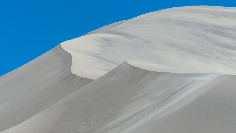 198 años de belleza pura