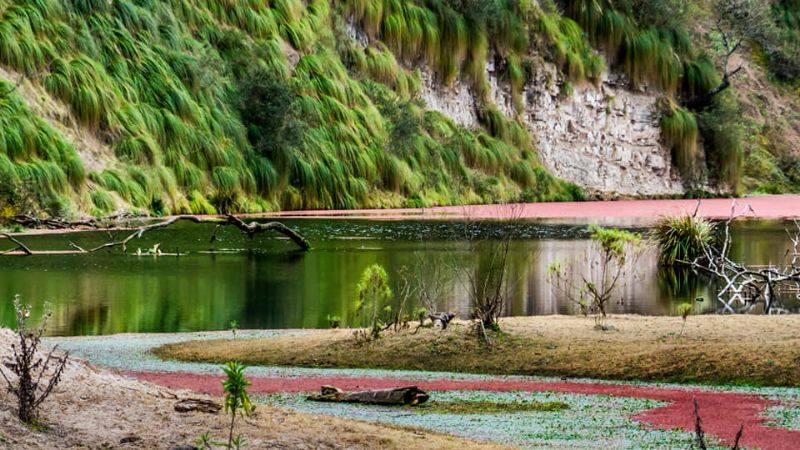 198 años de belleza pura