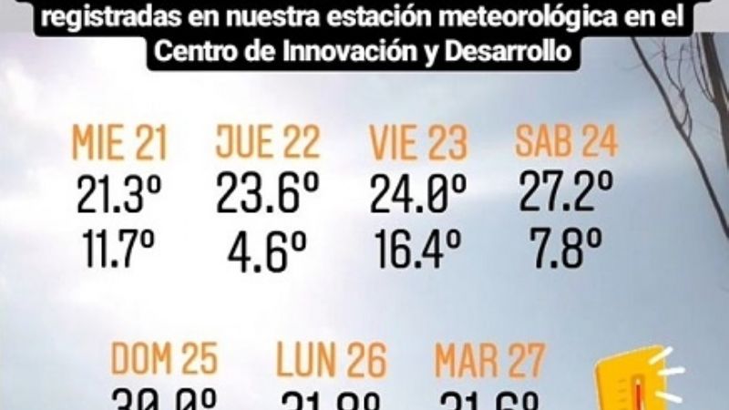 31.6° la máxima de hoy