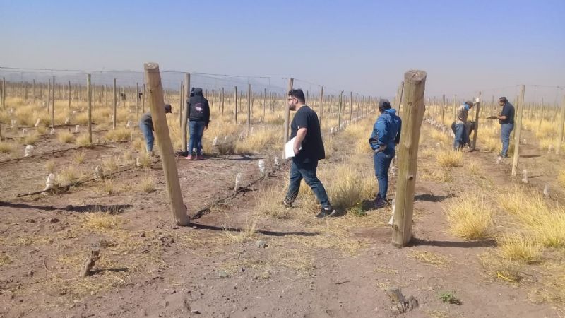 Detectan 31 trabajadores rurales en situación irregular en Tinogasta