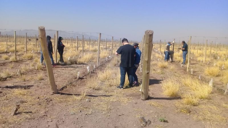 Detectan 31 trabajadores rurales en situación irregular en Tinogasta