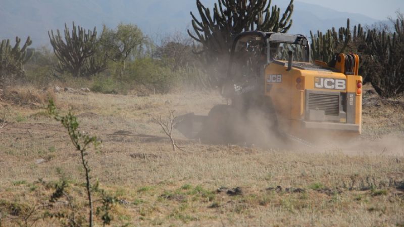 Avanzan con la preparación del Parque Autóctono