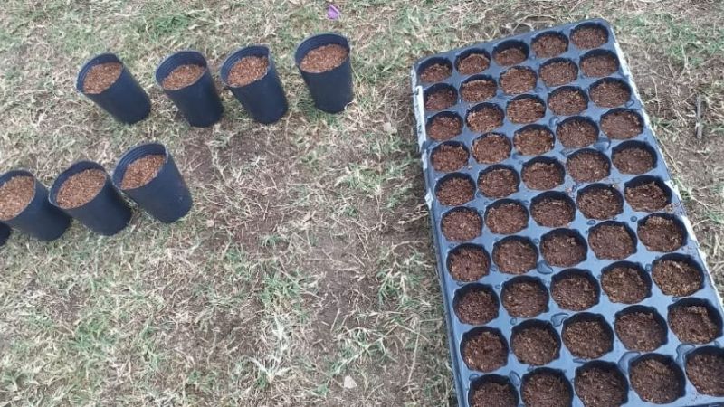 Extensión en Ex Humaraya y Palo Labrado