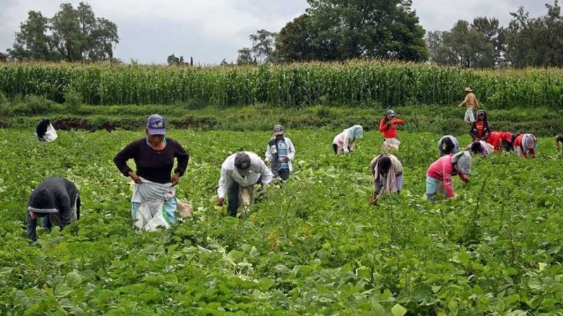 Un informe desmiente a Macri sobre los puestos de trabajo en el campo