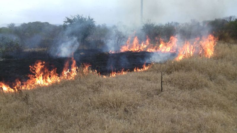 Más de 20 incendios en los últimos días