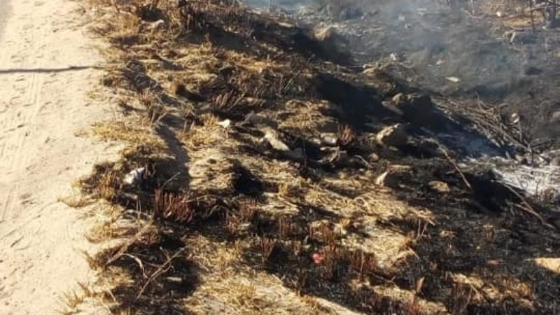 Se quemaron postes de energía por un incendio forestal