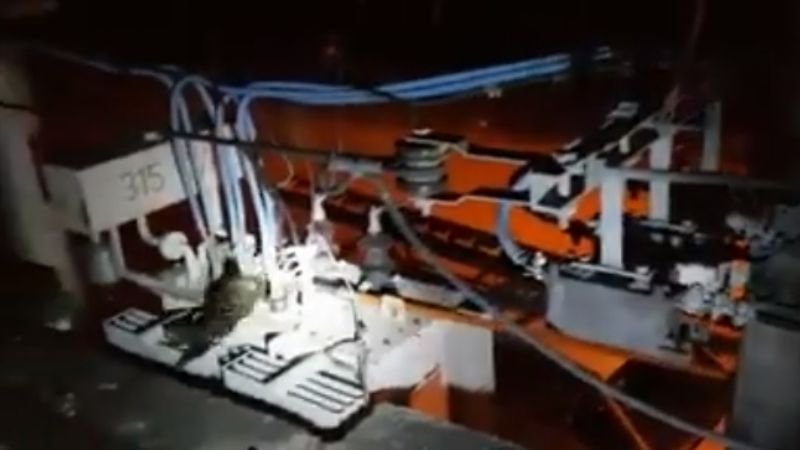 Salvaron a un gato que causó inconvenientes en un transformador