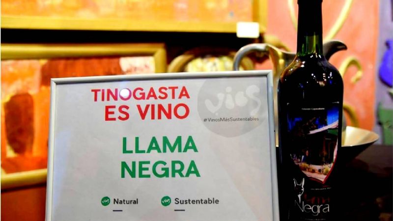 "Tinogasta es vino" se expone en feria de Buenos Aires