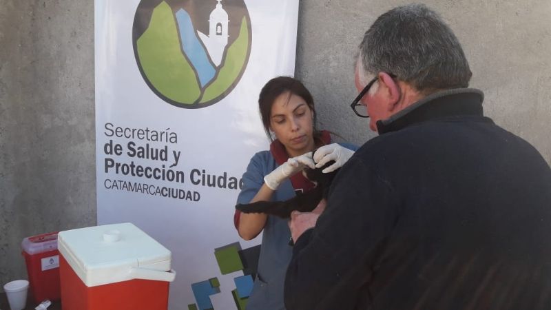 Vacunas antirrábicas y desparasitación gratuitas