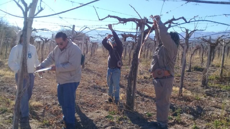 Fiscalizaciones del RENATRE en Santa María