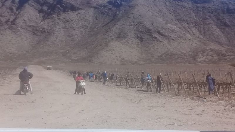 Fiscalizaciones del RENATRE en Santa María