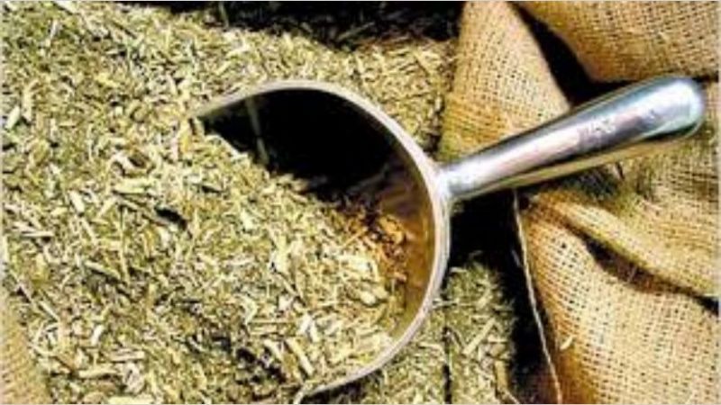 Aumenta 10% el precio de la yerba mate