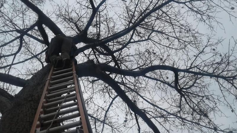 Nuevo trazado de línea en Pomán