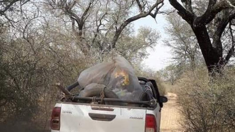 La Virgen del Valle, en pleno monte santiagueño