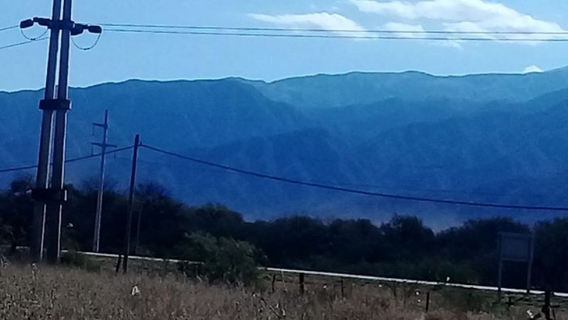 Invación de langostas en Capayán