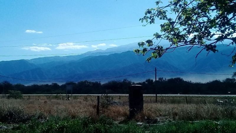 Invación de langostas en Capayán